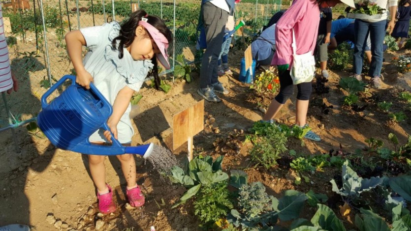 2-2 어린이농부.jpg