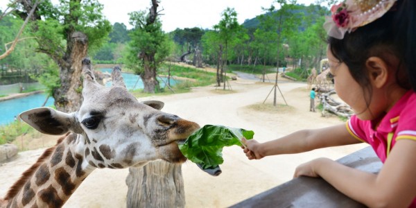 에버랜드 동물 탐험 프로그램 (1).JPG
