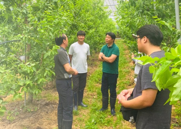 “보은 대추” 명성 우리 손에서 시작 이미지2