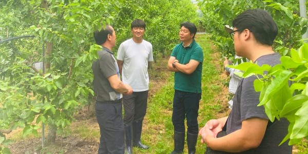 “보은 대추” 명성 우리 손에서 시작 이미지2
