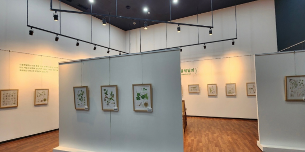 미동산수목원, 세밀화로 만나는 우리나라 희귀식물 이미지2