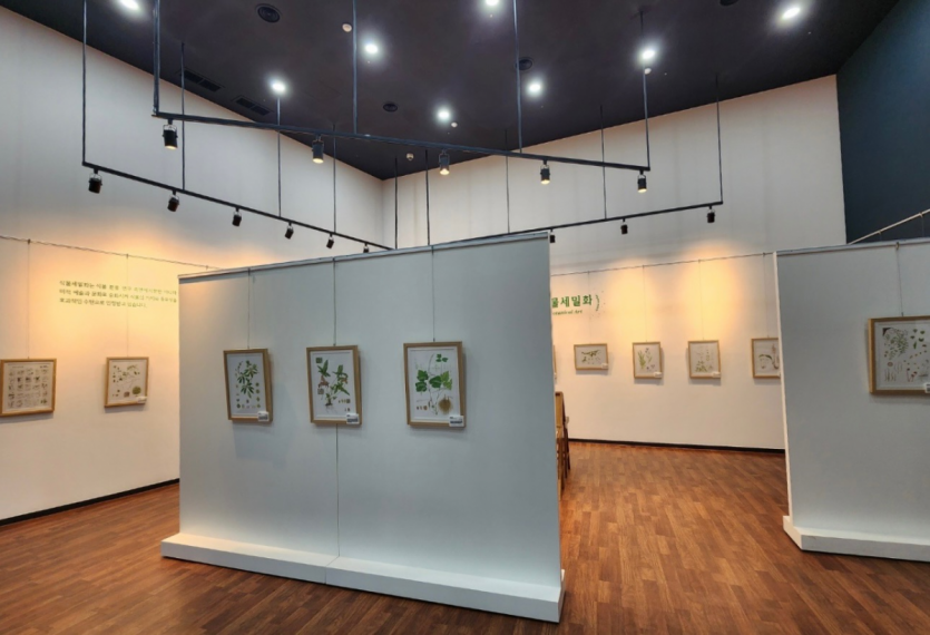 미동산수목원, 세밀화로 만나는 우리나라 희귀식물 이미지2