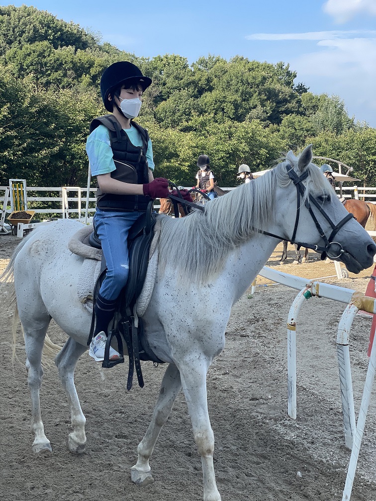 소비환경뉴스 / 일반