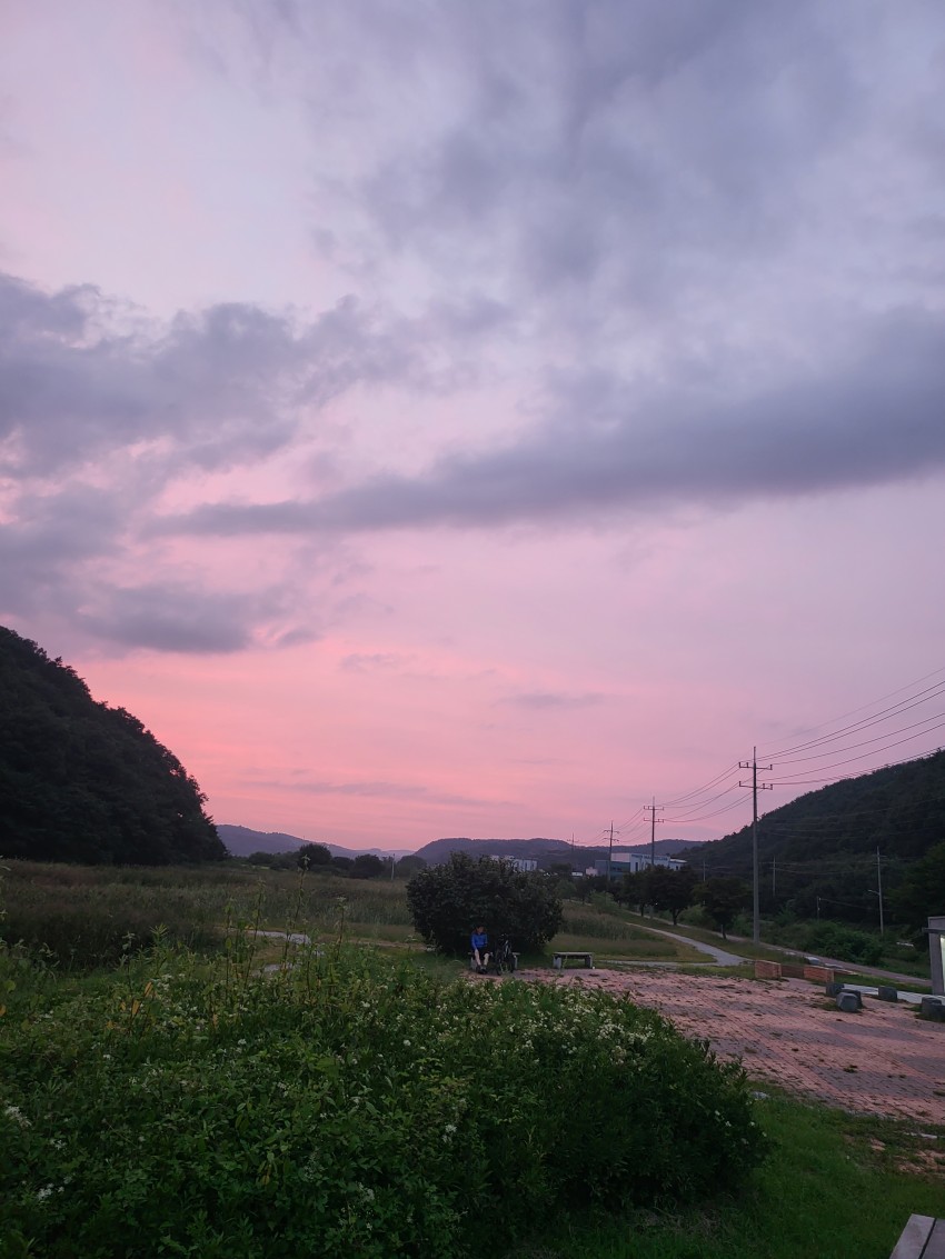 소비환경뉴스 / 일반