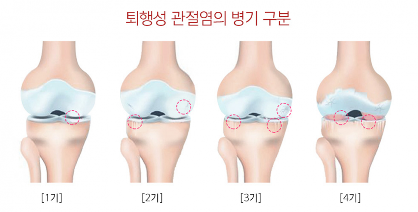 소비환경뉴스 / 일반