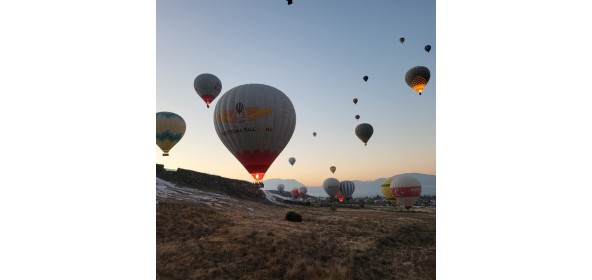 여행은 언제 해도 …