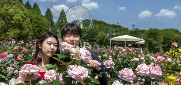 에버랜드, '화수목…